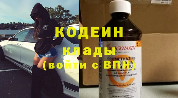 шишки Верхний Тагил