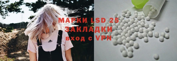 шишки Верхний Тагил