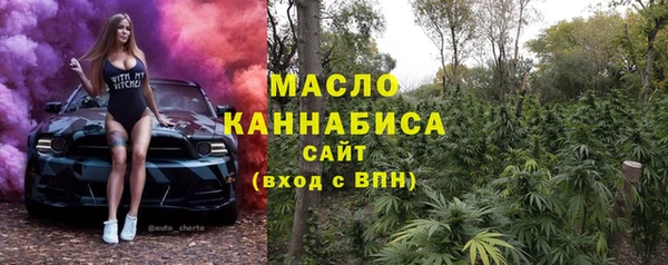 шишки Верхний Тагил