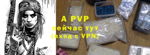 шишки Верхний Тагил