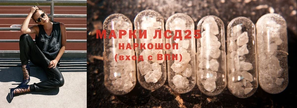 шишки Верхний Тагил