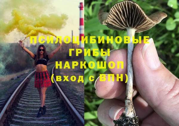 PSILOCYBIN Верея